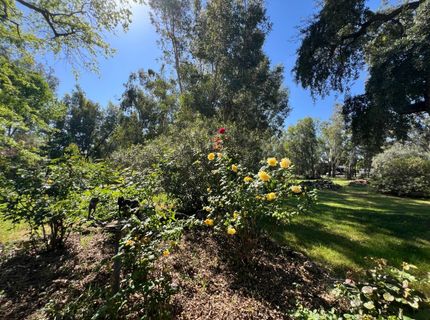12188 Clay Station Rd, Herald, CA 95638 Photo