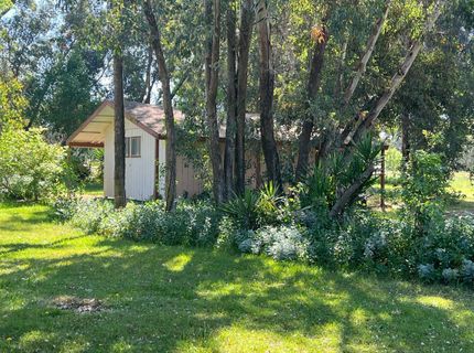 12188 Clay Station Rd, Herald, CA 95638 Photo