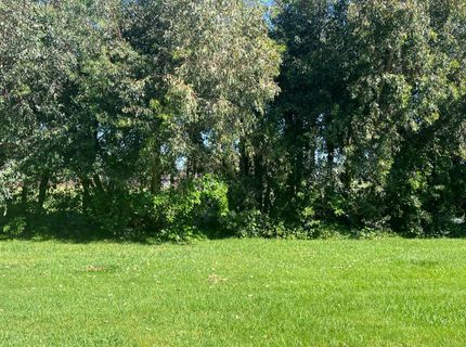 12188 Clay Station Rd, Herald, CA 95638 Photo