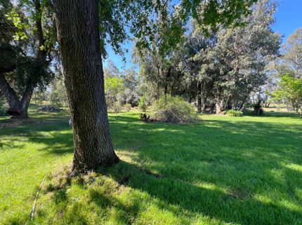 12188 Clay Station Rd, Herald, CA 95638 Photo
