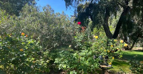12188 Clay Station Rd, Herald, CA 95638 Photo