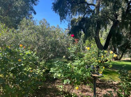 12188 Clay Station Rd, Herald, CA 95638 Photo