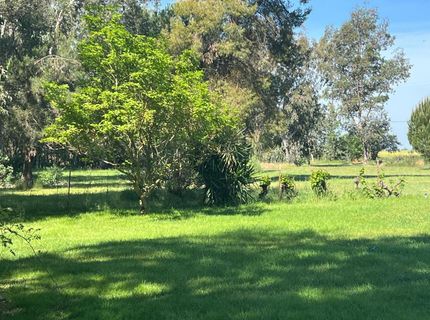 12188 Clay Station Rd, Herald, CA 95638 Photo