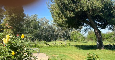 12188 Clay Station Rd, Herald, CA 95638 Photo