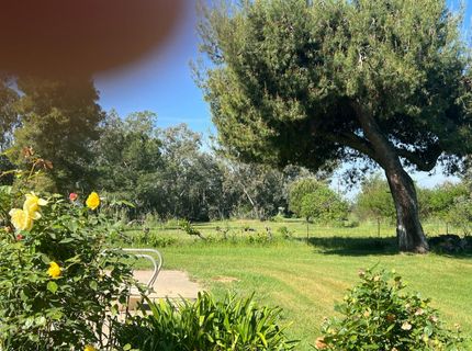 12188 Clay Station Rd, Herald, CA 95638 Photo
