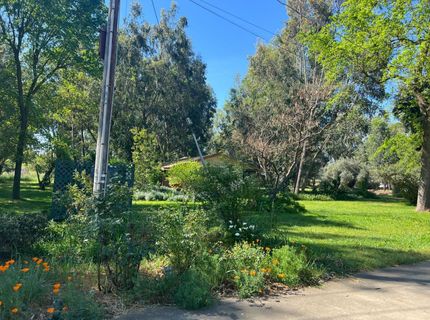12188 Clay Station Rd, Herald, CA 95638 Photo