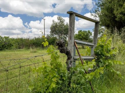 12188 Clay Station Rd, Herald, CA 95638 Photo