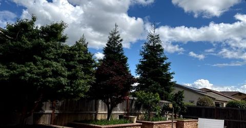 10005 W Atrio Cir, Elk Grove, CA 95757 Photo