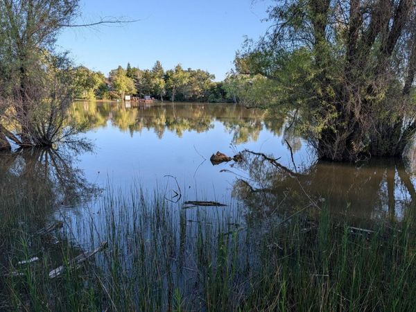 4040 Lakeview Dr, Shingle Springs, CA 95682