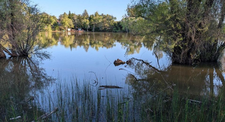 4040 Lakeview Dr, Shingle Springs, CA 95682 Photo