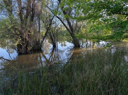 4040 Lakeview Dr, Shingle Springs, CA 95682 Photo