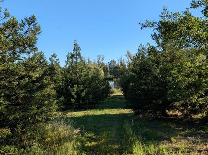 4040 Lakeview Dr, Shingle Springs, CA 95682 Photo