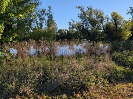 4040 Lakeview Dr, Shingle Springs, CA 95682 Photo