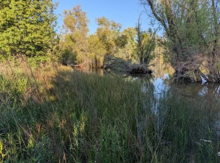 4040 Lakeview Dr, Shingle Springs, CA 95682 Photo