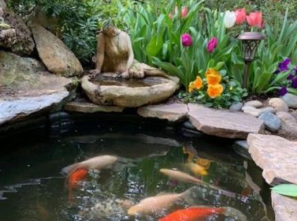 757 Larkspur Ln, Murphys, CA 95247 Photo