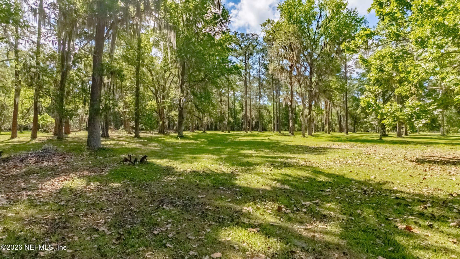 675 Tara Farms Drive, Middleburg, FL 32068 Photo
