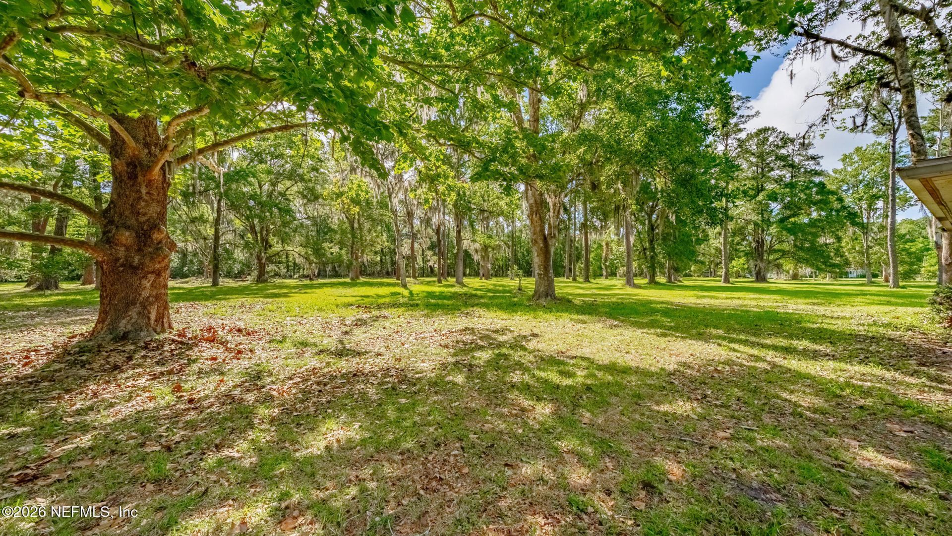 675 Tara Farms Drive, Middleburg, FL 32068 Photo