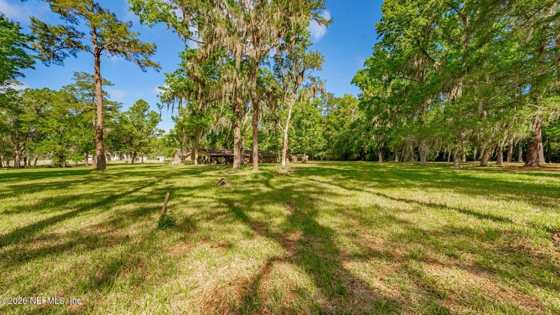 675 Tara Farms Drive, Middleburg, FL 32068 Photo