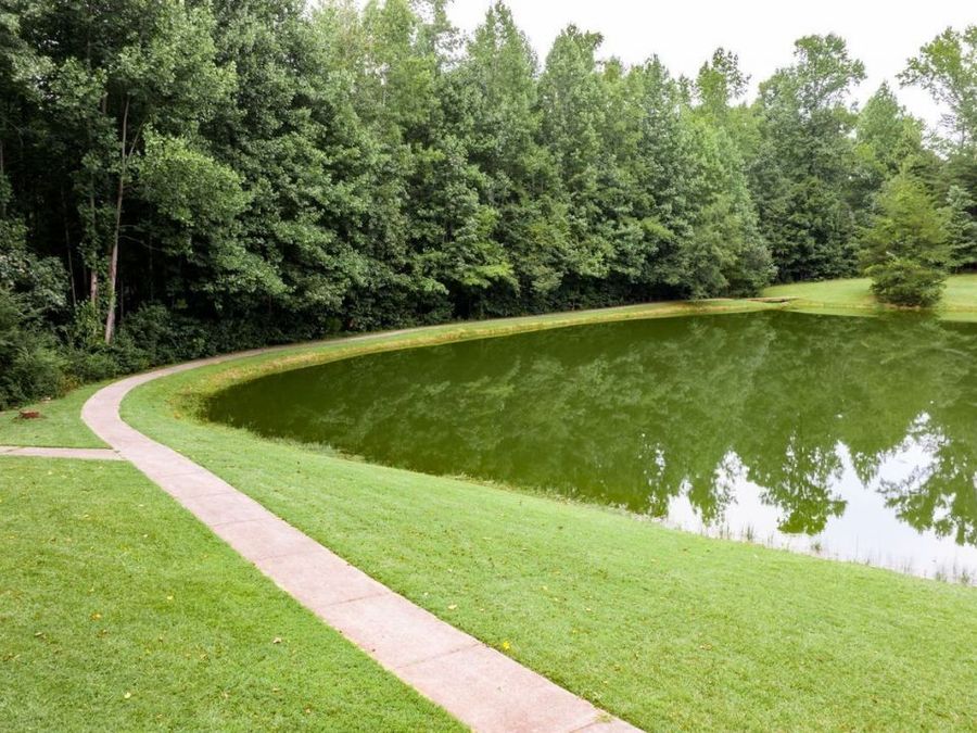 Property Image 65