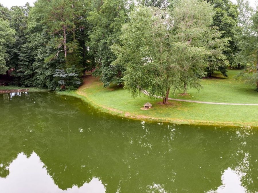 Property Image 67