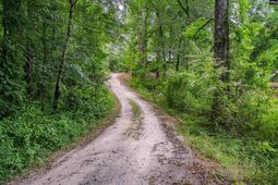 108 SE Sedgewood Road  photo 4