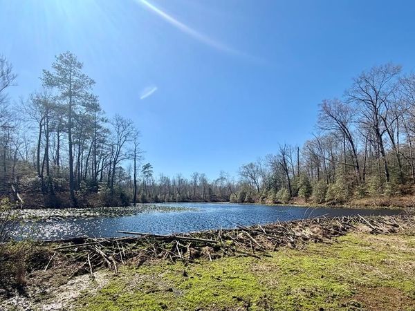 lot 17 Bull Neck Road, CARET, VA 22436