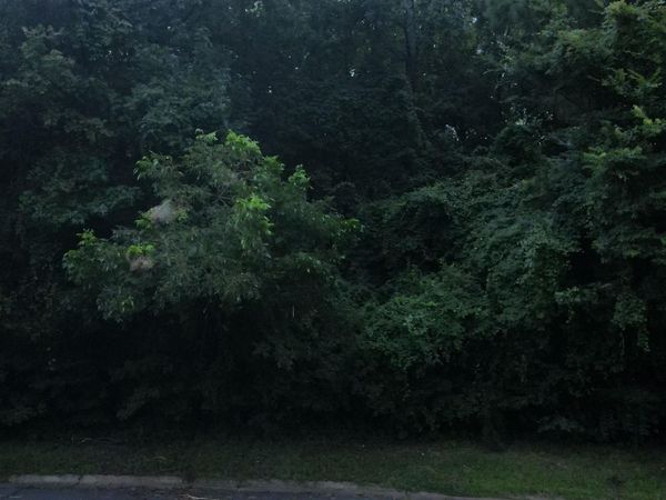 TBD NORTH PARK Drive, Arkadelphia, AR 71923