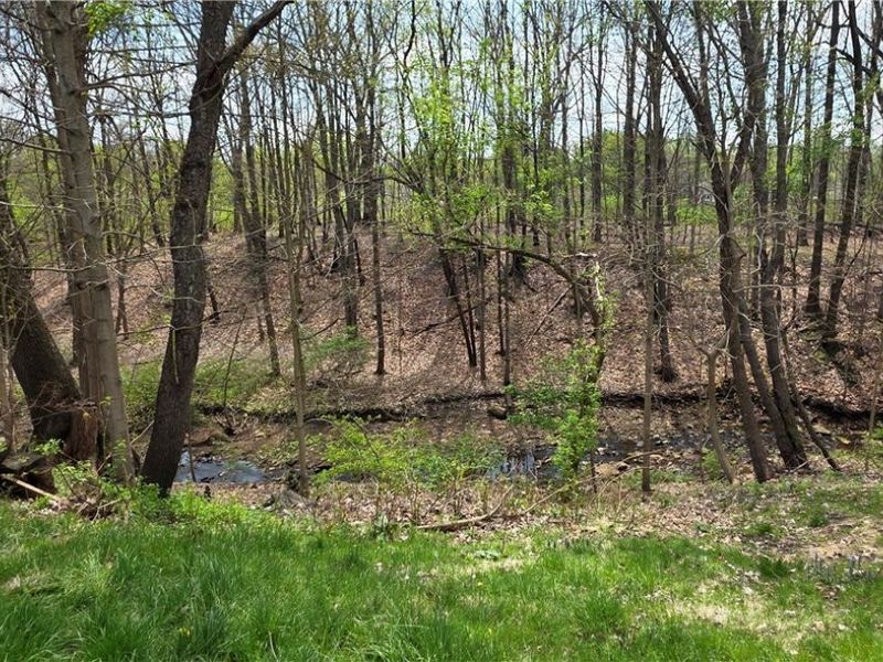 201 Water Street, Wadsworth, OH 44281 Photo 4