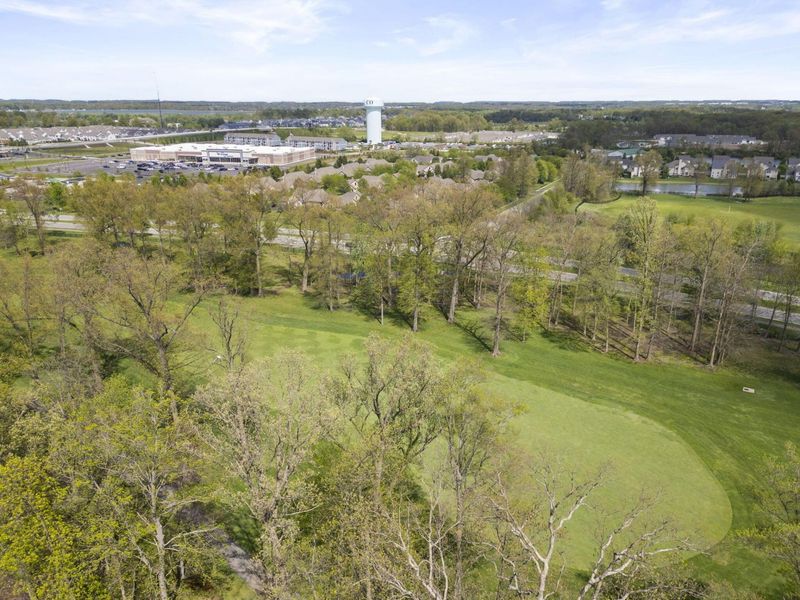 7743 High Wind Drive, Powell, OH 43065 Photo 113