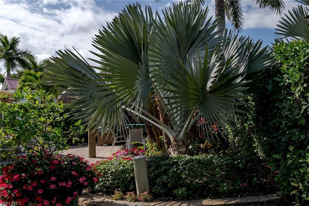 13625 Snapper Ln , Naples, FL 34114 Photo