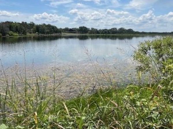 1065 Bluegill Ridge, Bluff Dale, TX 76433