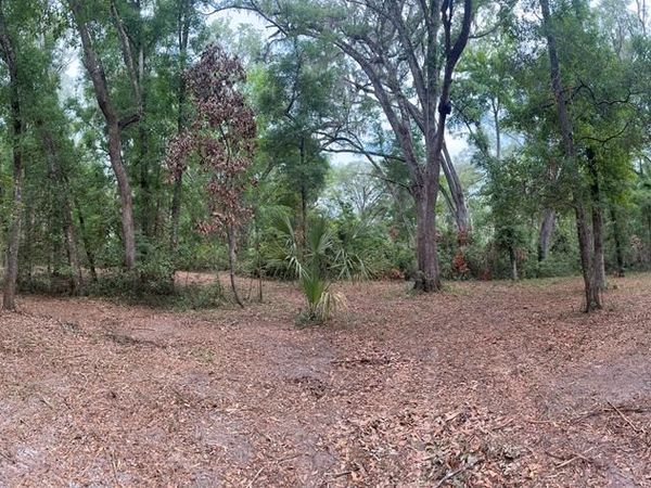 NA NE 188th Ave, Old Town, FL 32680