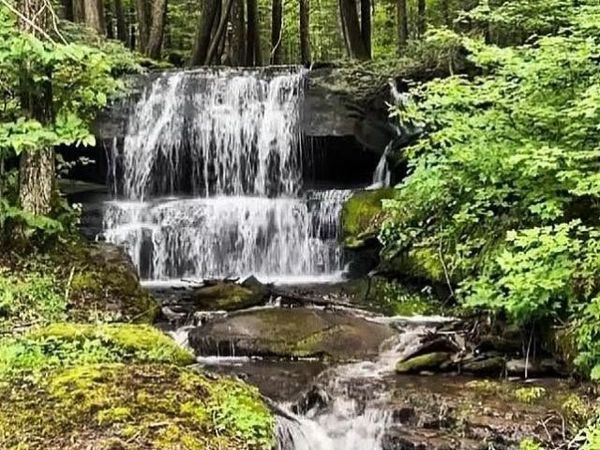 bragg Hollow Bragg Hollow Road , Margaretville, NY 12455