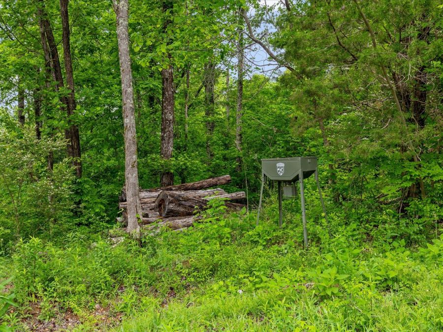Property Image 96