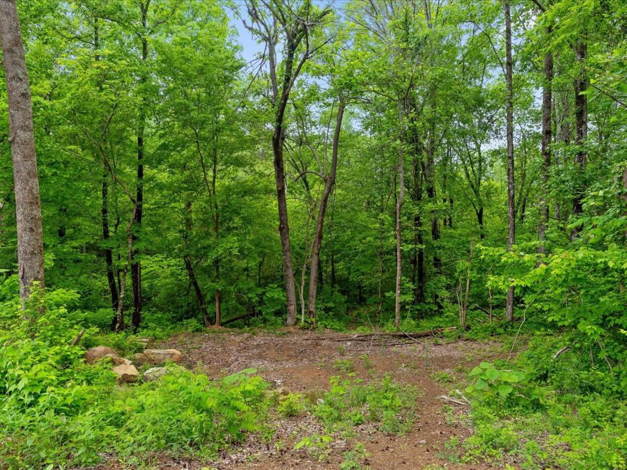 Property Image 97