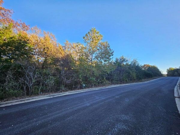 445 Bay View Drive, Hollister, MO 65672