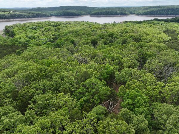 Lot 40&41 Timber Shoals Road, Cedar Creek, MO 65627