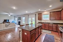 748 Spring Cress Drive  photo 4