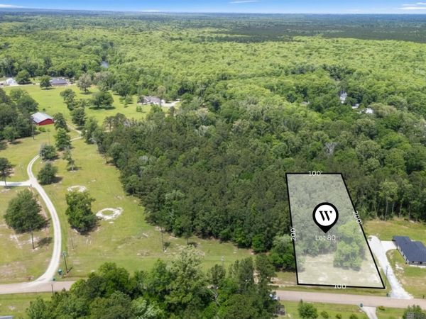 TBD Riverside Rd, Springfield, LA 70462