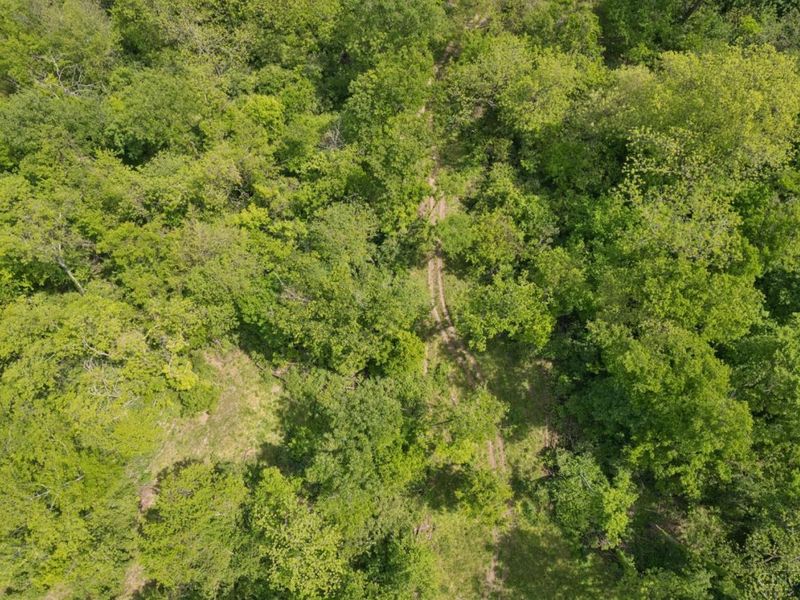 6021 State Route 221, Lewis Twp, OH 45121 Photo 13