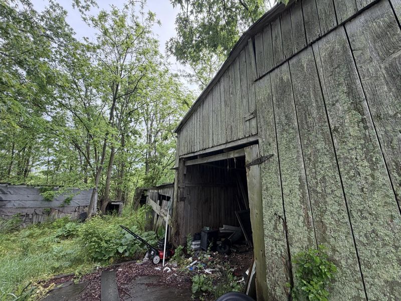 2728 Pea Ridge Road, Mount Olivet, KY 41064 Photo 10