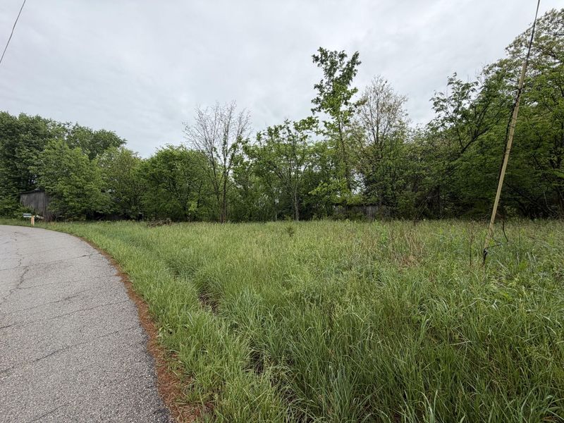 2728 Pea Ridge Road, Mount Olivet, KY 41064 Photo 2