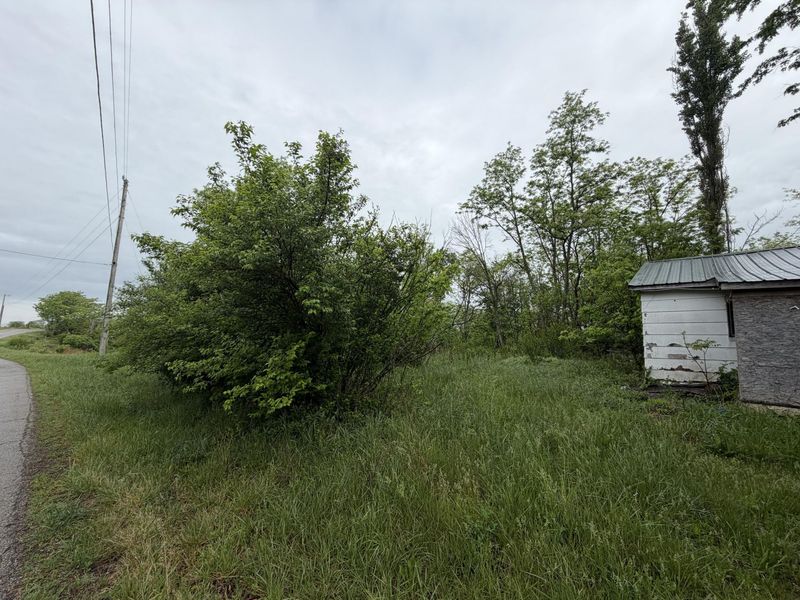 2728 Pea Ridge Road, Mount Olivet, KY 41064 Photo 3