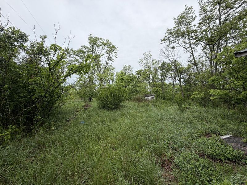 2728 Pea Ridge Road, Mount Olivet, KY 41064 Photo 5