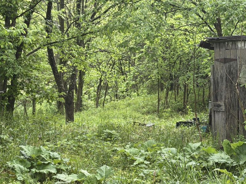 2728 Pea Ridge Road, Mount Olivet, KY 41064 Photo 7