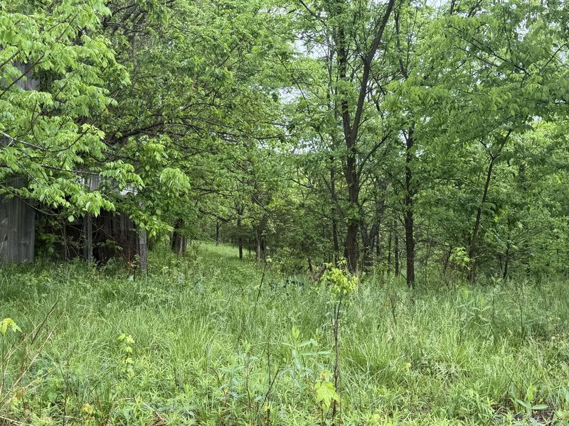 2728 Pea Ridge Road, Mount Olivet, KY 41064 Photo 8