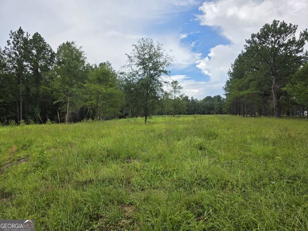 0 CV Mosley Boulevard, Lyons, GA 30436