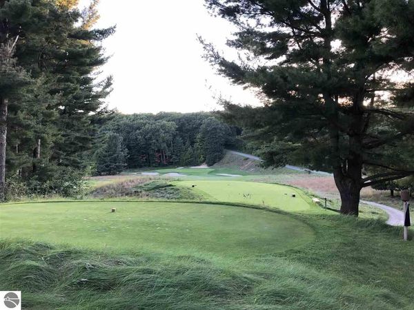 122 Crystal Downs Drive, Frankfort, MI 49635