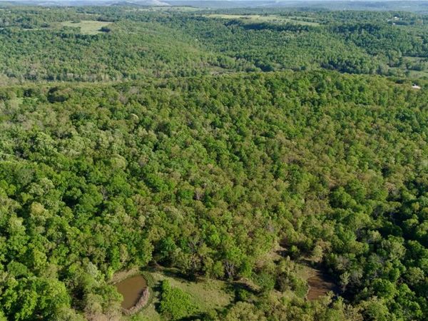 0000 CR 7670 , Hindsville, AR 72738