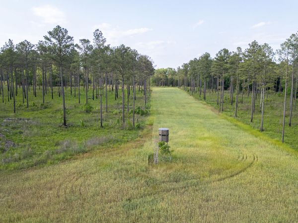 Rice, Crawford, MS 39743